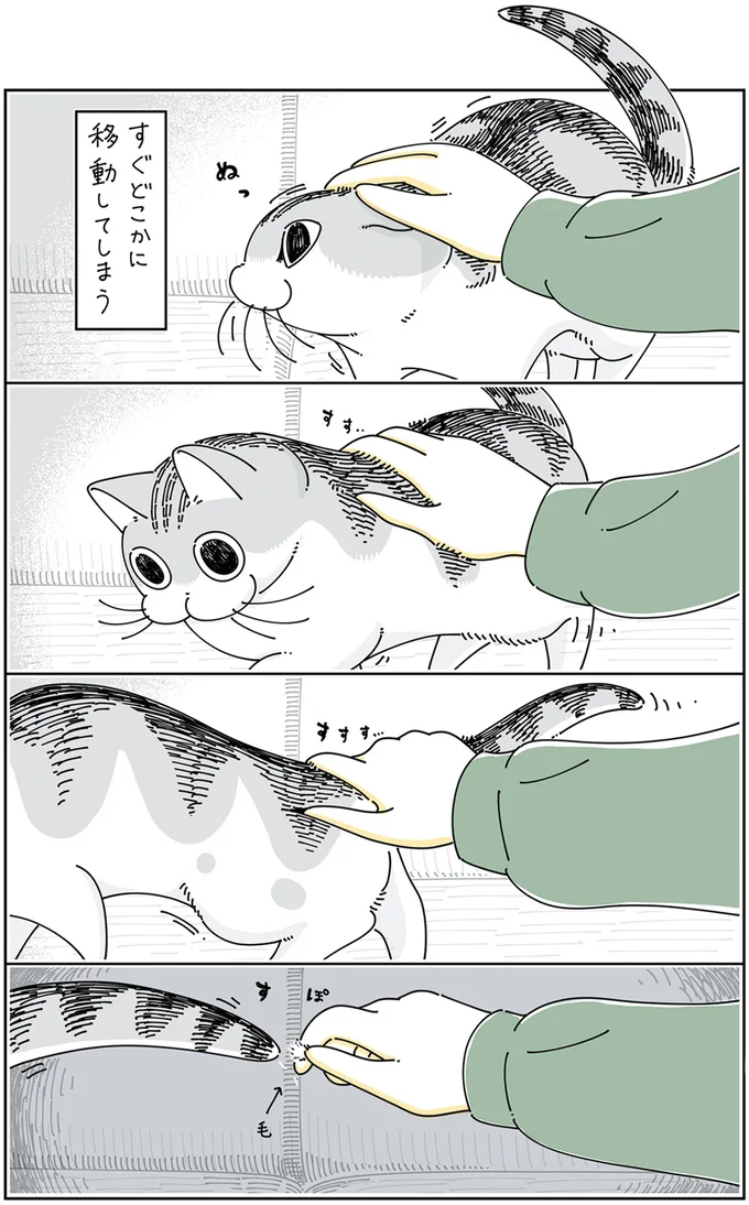 『夜は猫といっしょ』4～5 13923022.webp