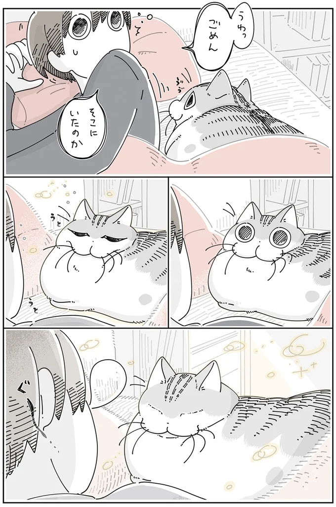 『夜は猫といっしょ』4～5 13923030.webp