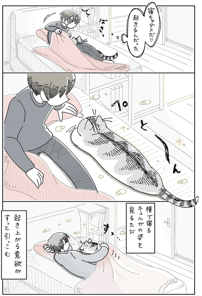 『夜は猫といっしょ』4～5 13923031.webp
