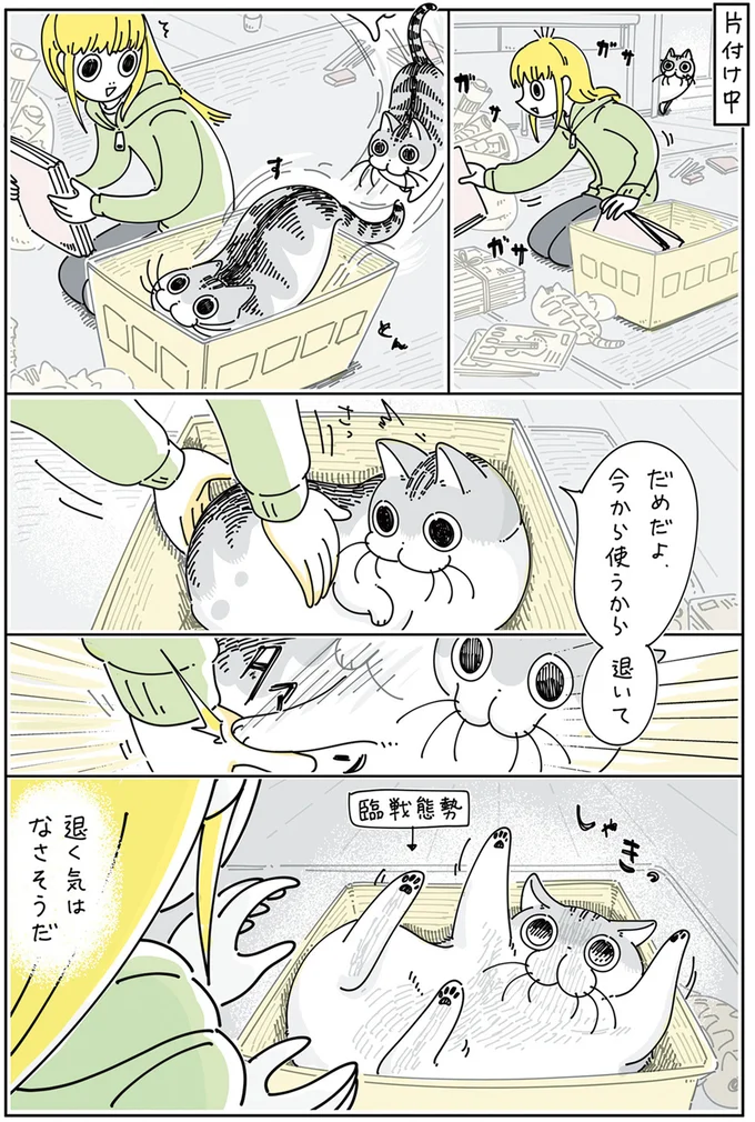 『夜は猫といっしょ』4～5 13923032.webp