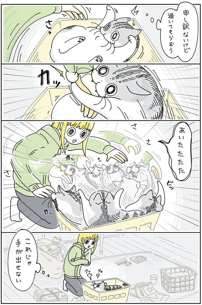 『夜は猫といっしょ』4～5 13923033.webp