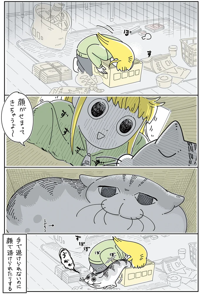 『夜は猫といっしょ』4～5 13923034.webp