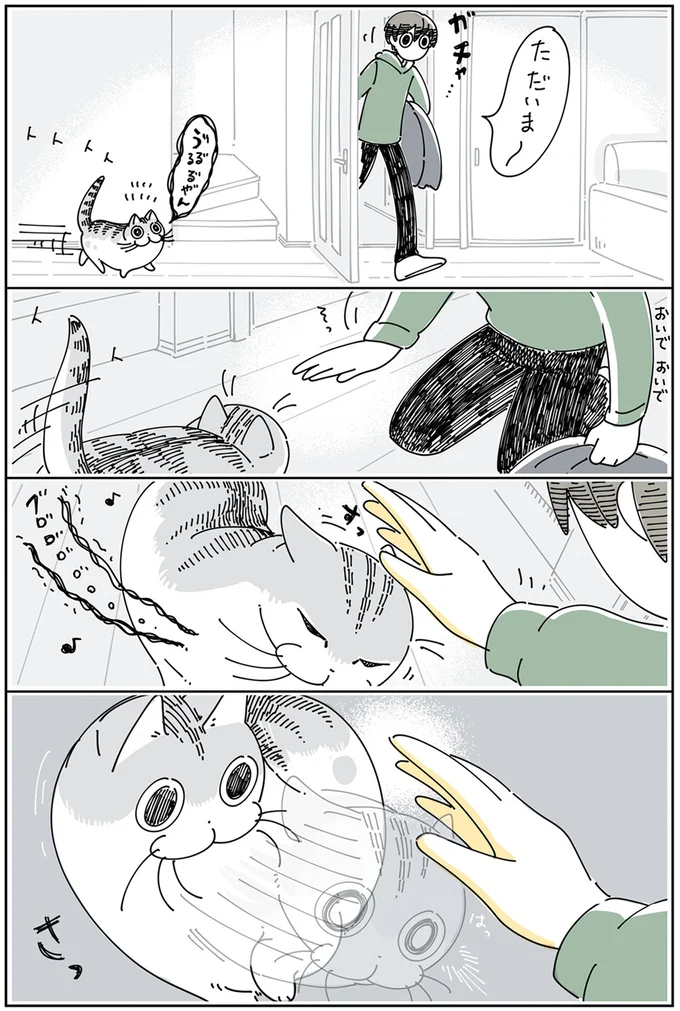お出迎えモードだった猫。飼い主の手のにおいを嗅いだ途端...バレた？／夜は猫といっしょ4 13923038.webp