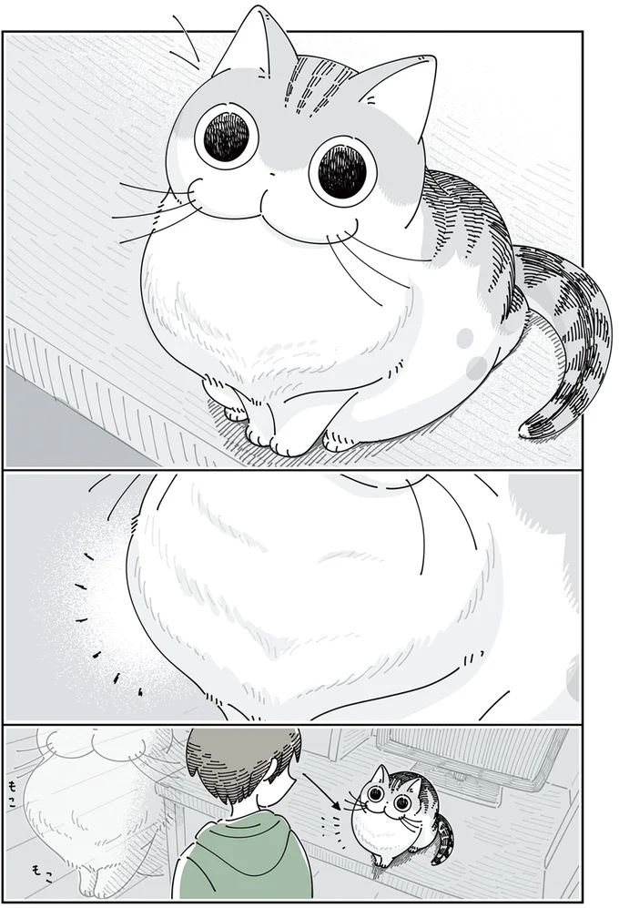 『夜は猫といっしょ』4～5 13923041.webp