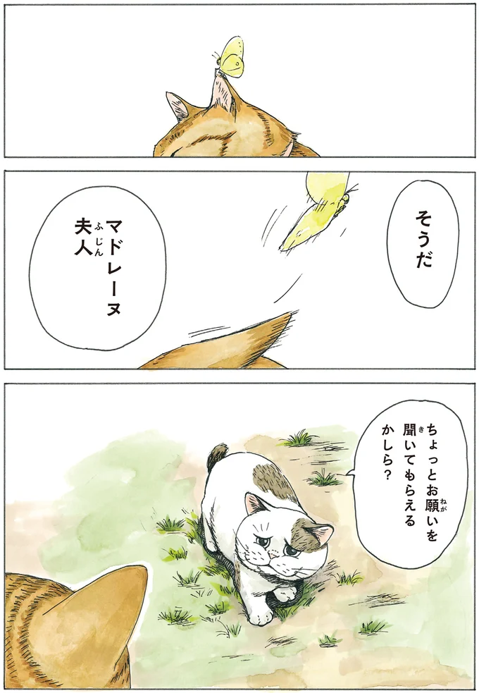 『かのこちゃんとマドレーヌ夫人』 13932896.webp