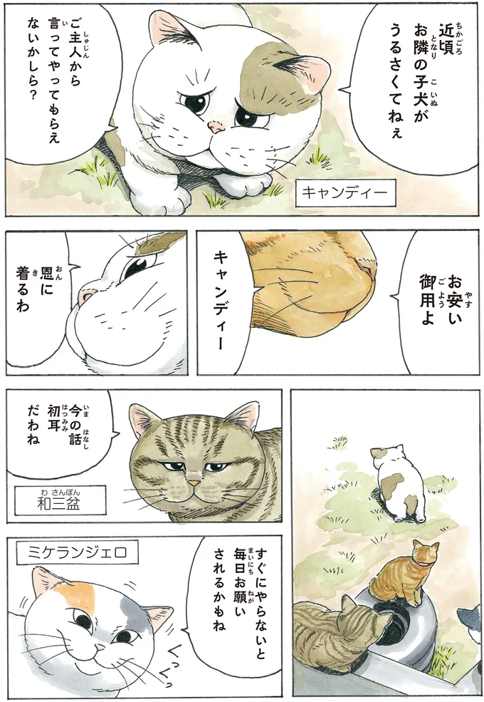 『かのこちゃんとマドレーヌ夫人』 13932897.webp