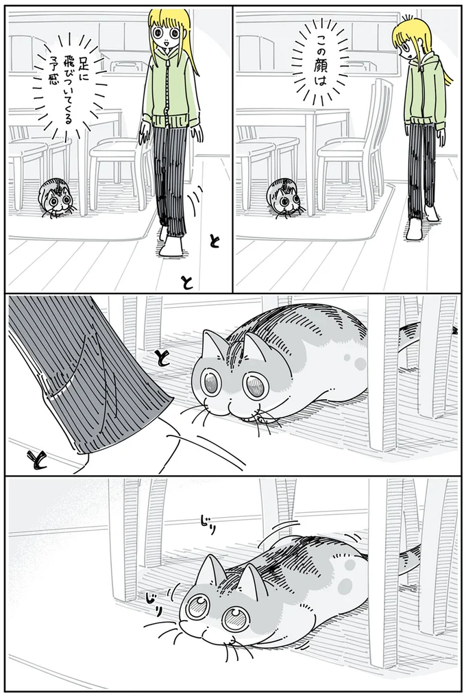 『夜は猫といっしょ』4～5 13937733.webp