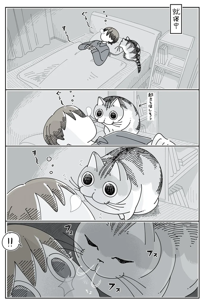 『夜は猫といっしょ』4～5 13937735.webp