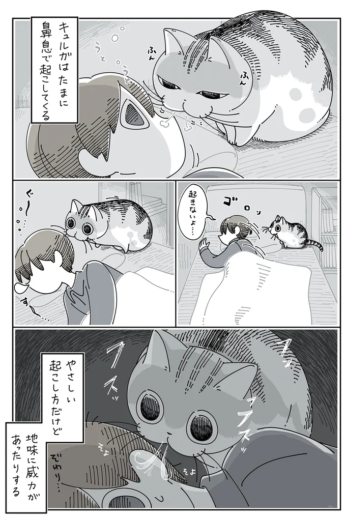 『夜は猫といっしょ』4～5 13937736.webp