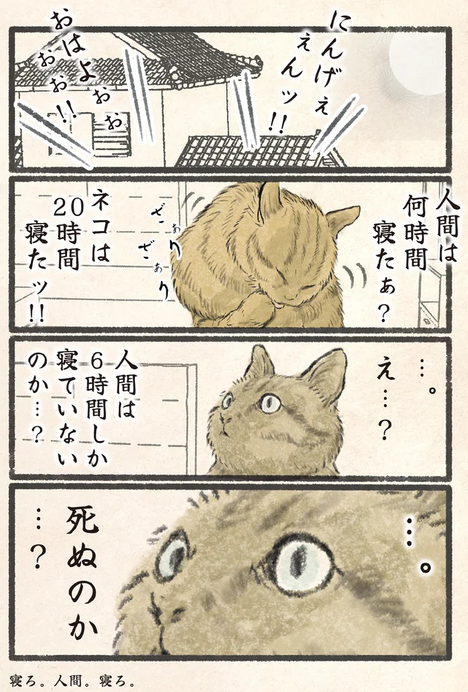 「何時間寝たぁ？」飼い主の睡眠時間を知ってネコ様が思ったこと／今日もネコ様の圧が強い 13971625.webp