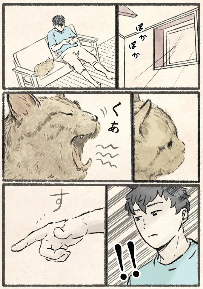 「なぜ...？」あくびをするネコ様に対し、飼い主のとっさの行動／今日もネコ様の圧が強い 13971649.webp