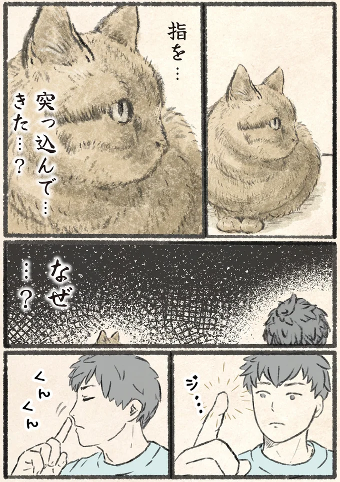 『今日もネコ様の圧が強い』 13971651.webp