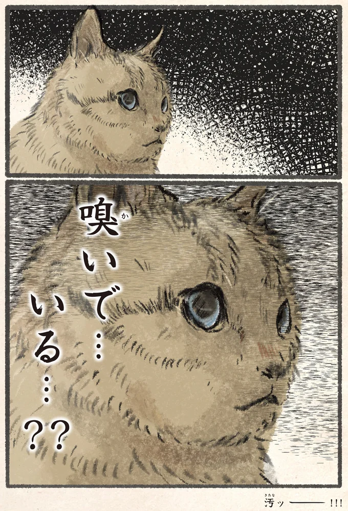 『今日もネコ様の圧が強い』 13971652.webp