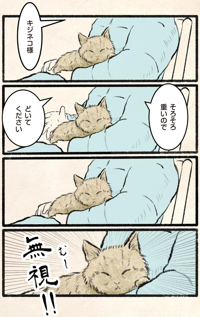 『今日もネコ様の圧が強い』 13971890.webp