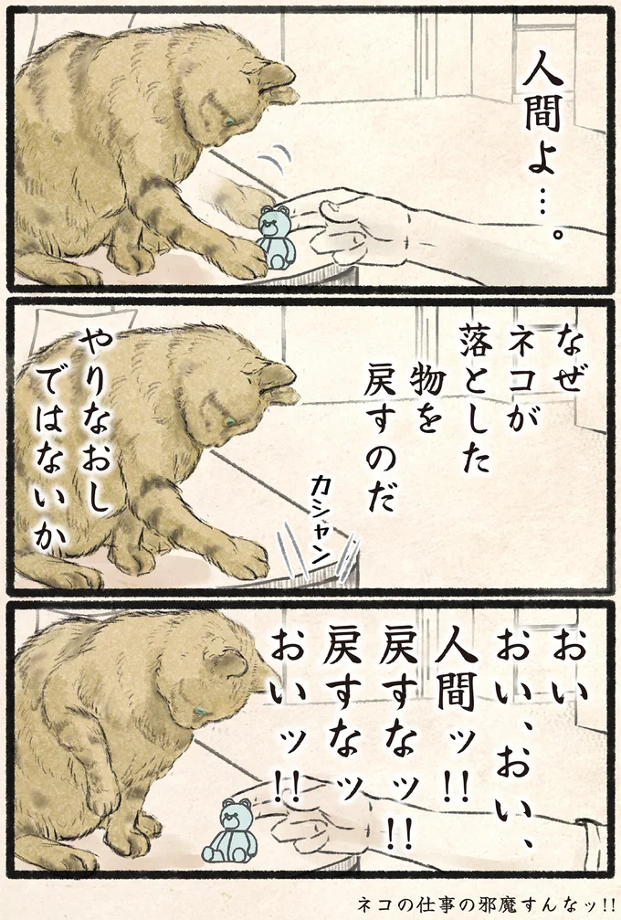 『今日もネコ様の圧が強い』 13971900.webp