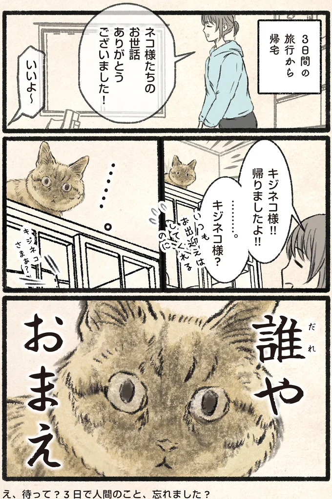 『今日もネコ様の圧が強い』 13971985.webp