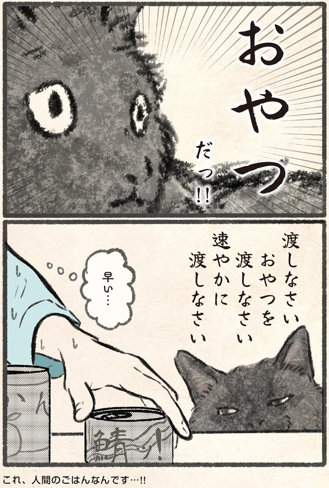 『今日もネコ様の圧が強い』 13971989.webp