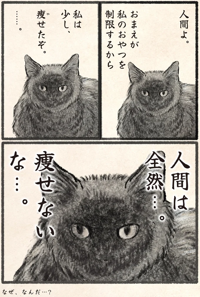 『今日もネコ様の圧が強い』 13972016.webp