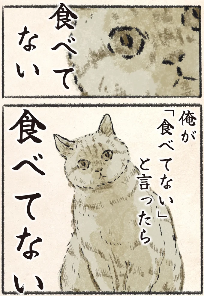 『今日もネコ様の圧が強い』 13972023.webp