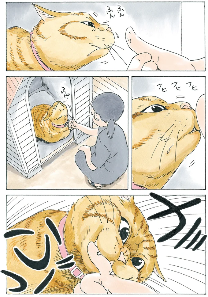 『かのこちゃんとマドレーヌ夫人』 13973511.webp