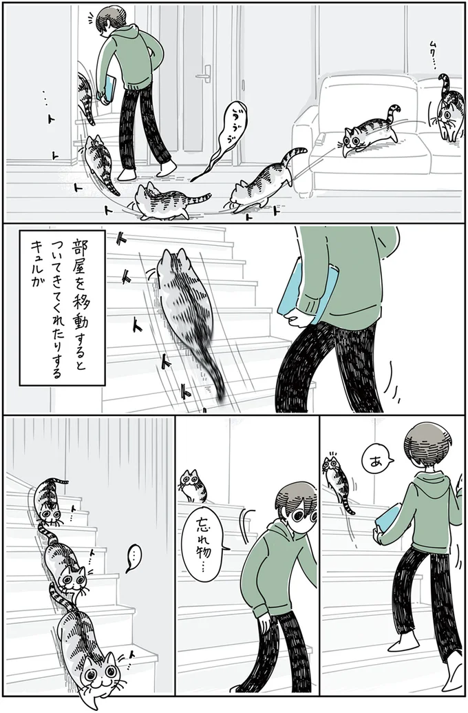 『夜は猫といっしょ』4～5 13989370.webp