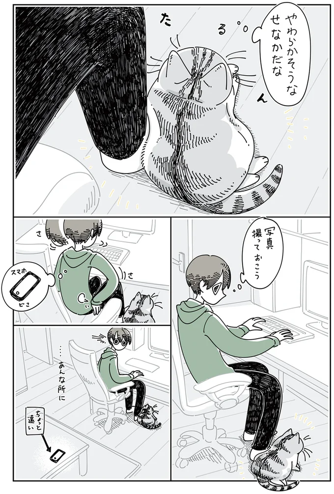 『夜は猫といっしょ』4～5 13989380.webp