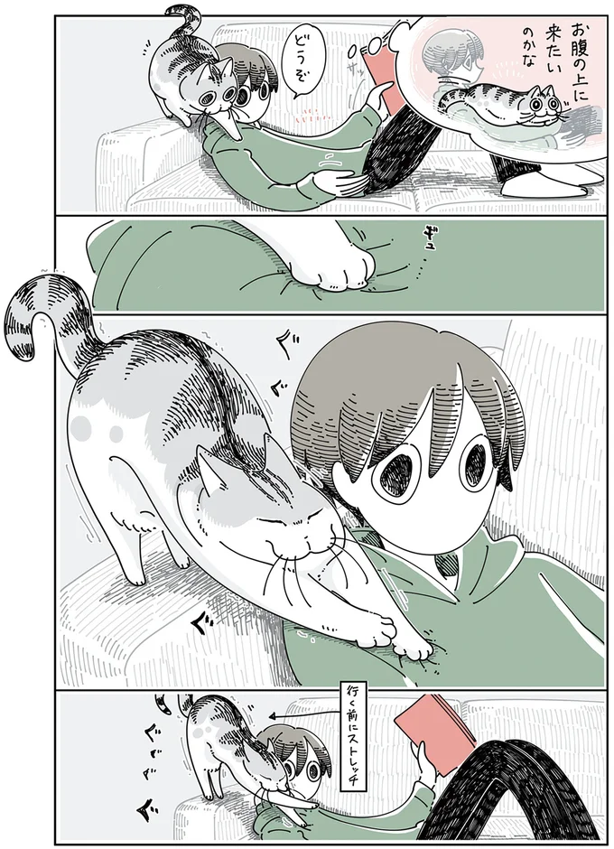 『夜は猫といっしょ』4～5 13989383.webp