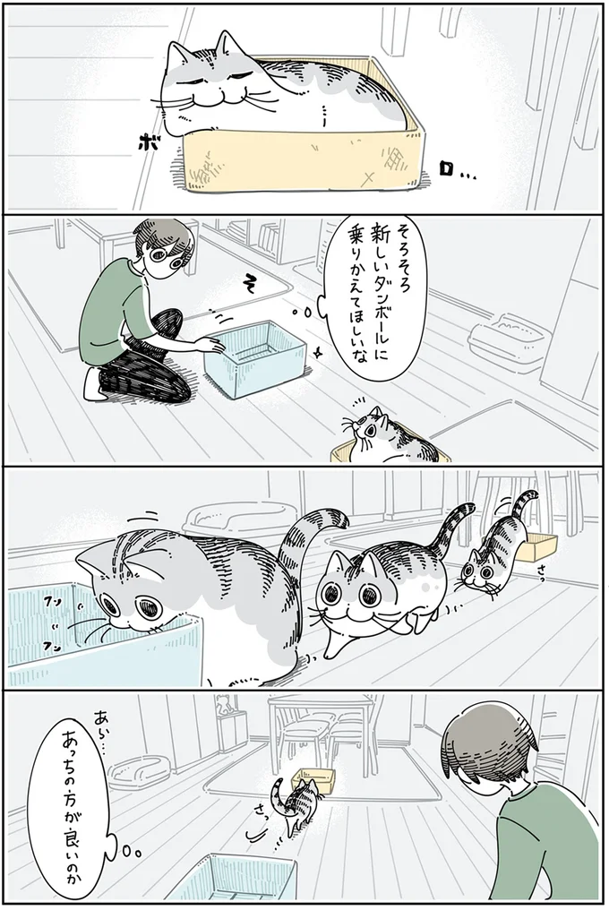 『夜は猫といっしょ』4～5 13989391.webp