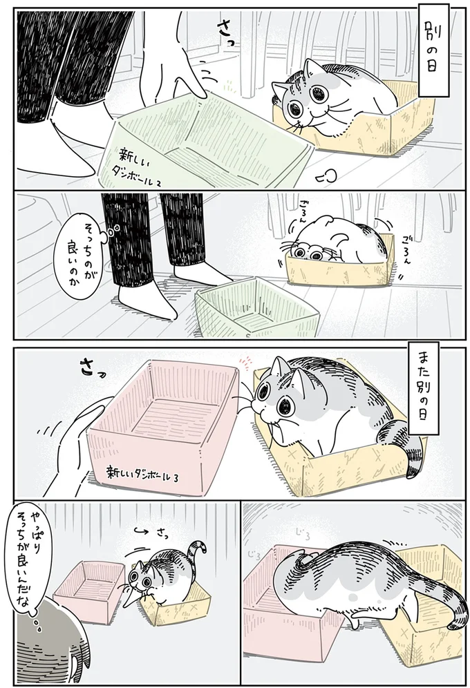 『夜は猫といっしょ』4～5 13989392.webp