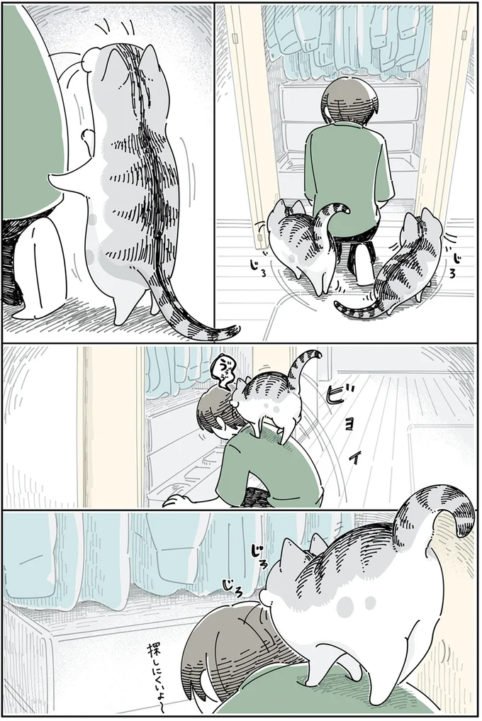 『夜は猫といっしょ』4～5 13989398.webp