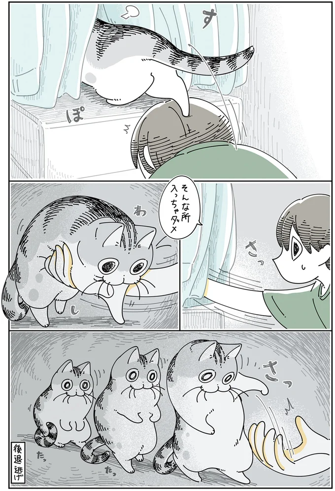 『夜は猫といっしょ』4～5 13989399.webp