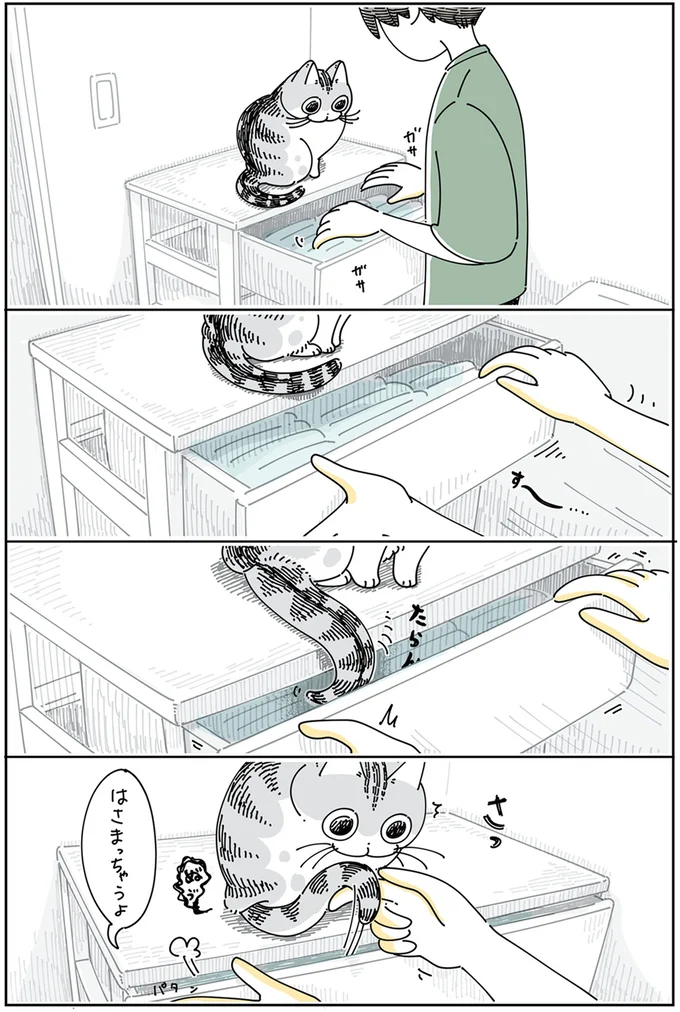 『夜は猫といっしょ』4～5 13989417.webp