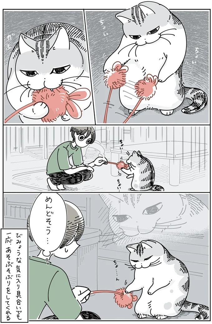『夜は猫といっしょ』4～5 13989421.webp