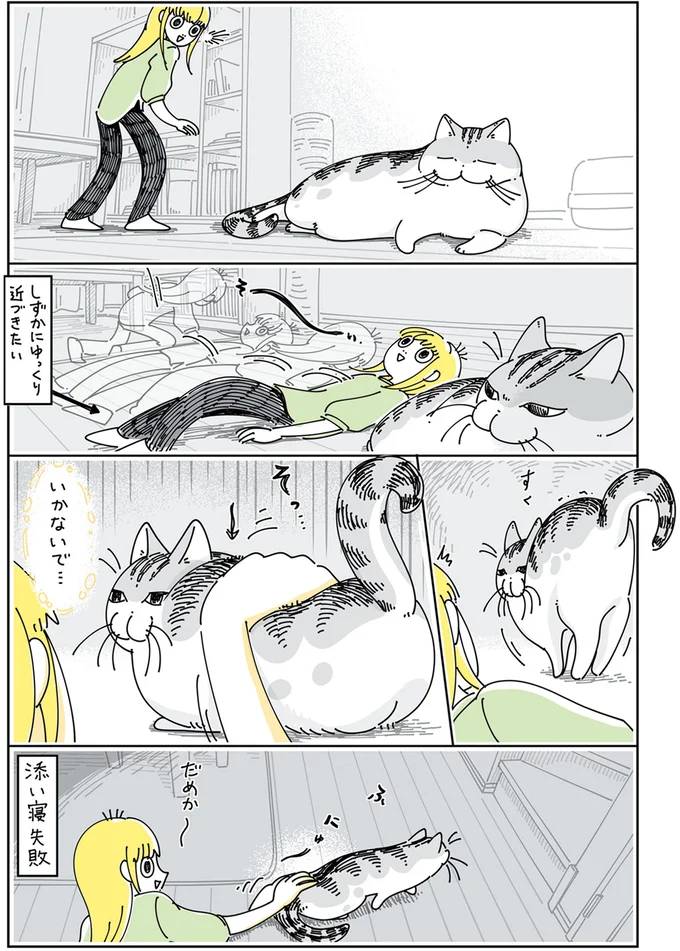『夜は猫といっしょ』4～5 13989426.webp