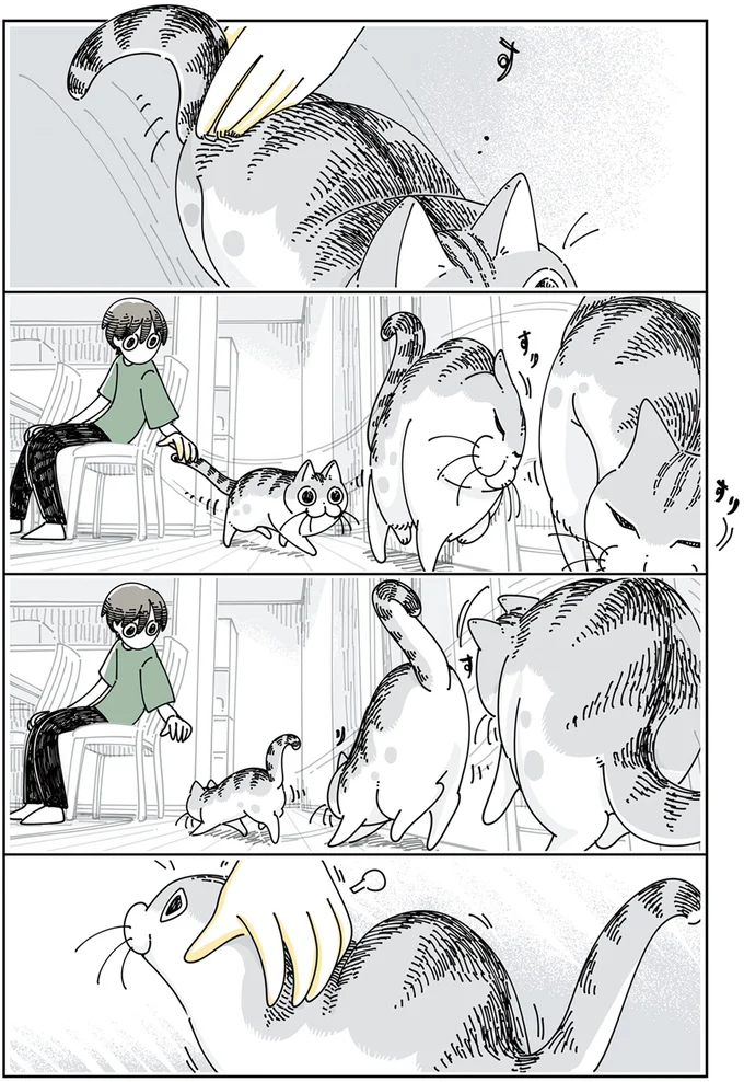 『夜は猫といっしょ』4～5 13989437.webp