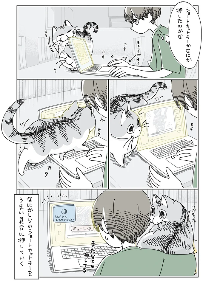 『夜は猫といっしょ』4～5 13989445.webp