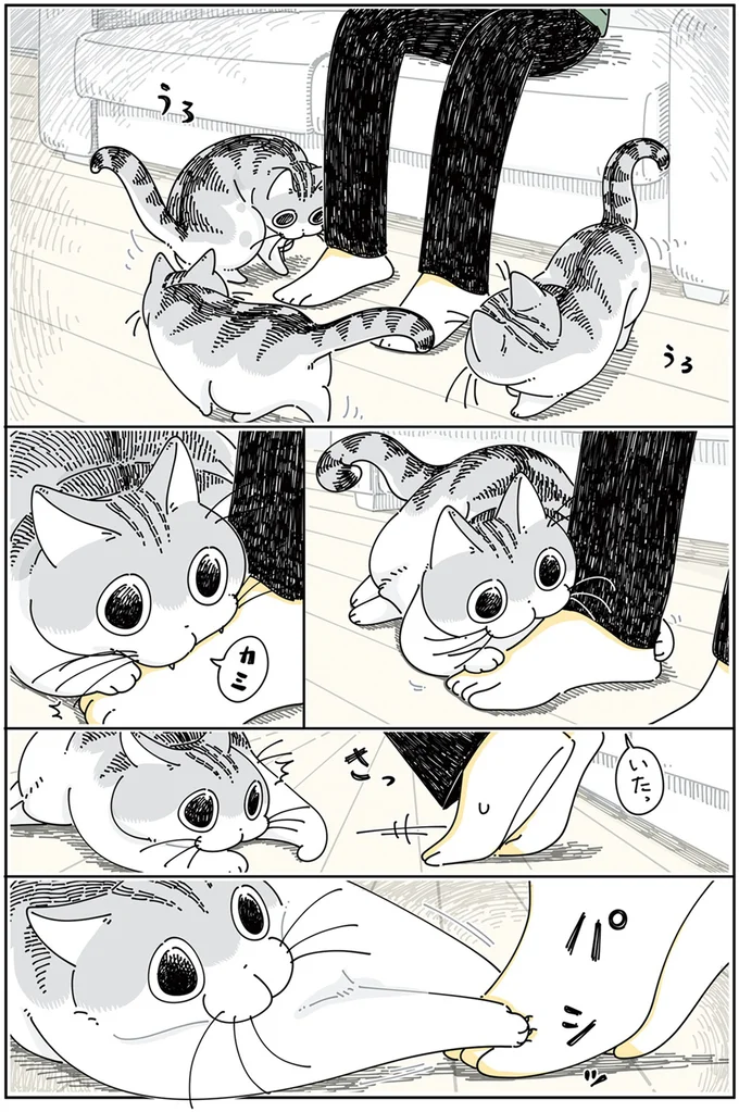 『夜は猫といっしょ』4～5 13989446.webp