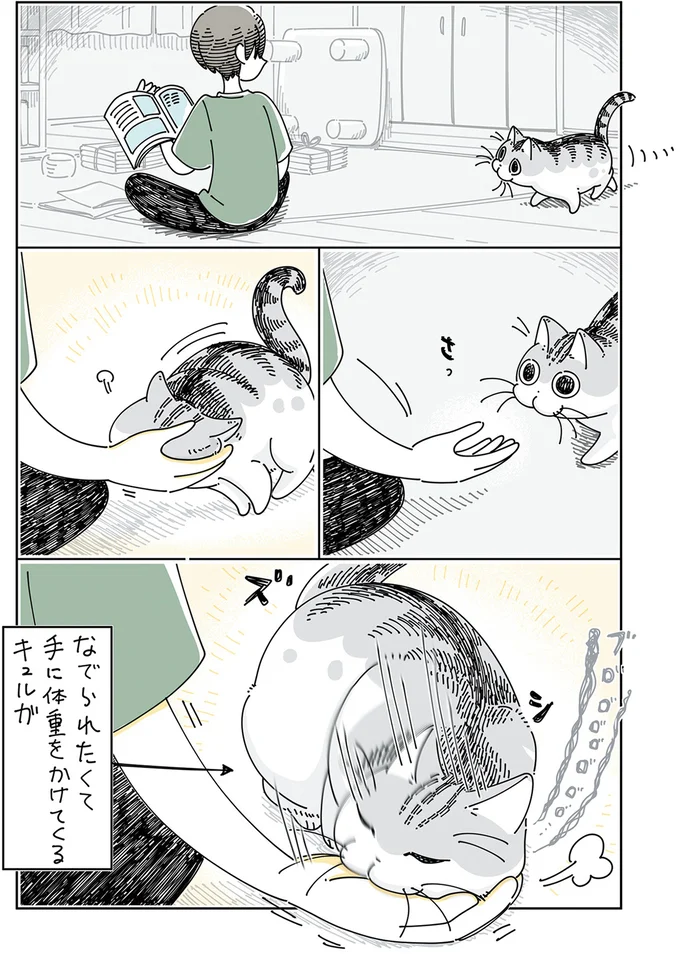 なでられたい猫。顔を飼い主の手にズシっとのせてきて...ん?/夜は猫といっしょ5 13989457.webp