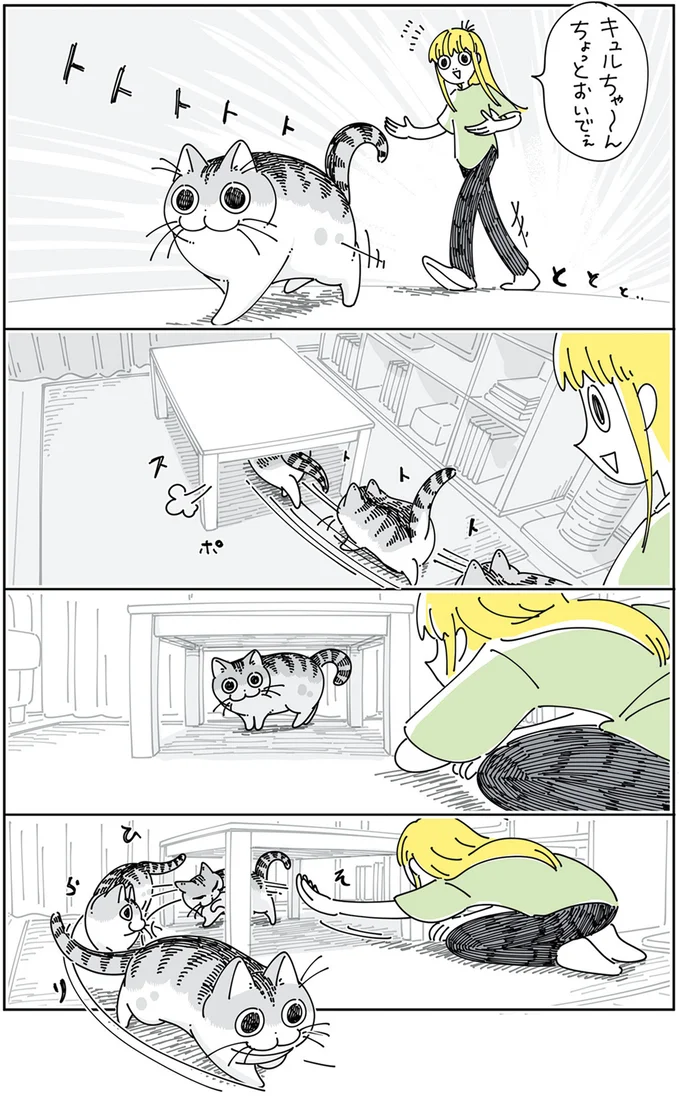 猫のほうが一枚上手!? 捕まえたいのに、毛先に触れられる程度にしか近づいてこない愛猫/夜は猫といっしょ5 13989465.webp