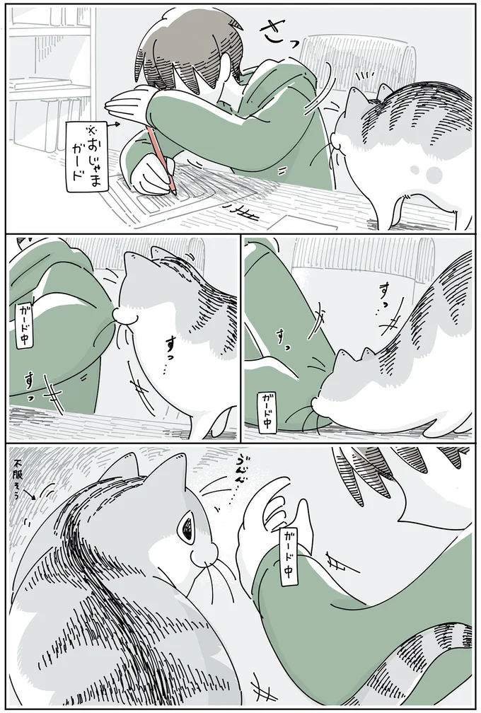 『夜は猫といっしょ6』 13997968.webp