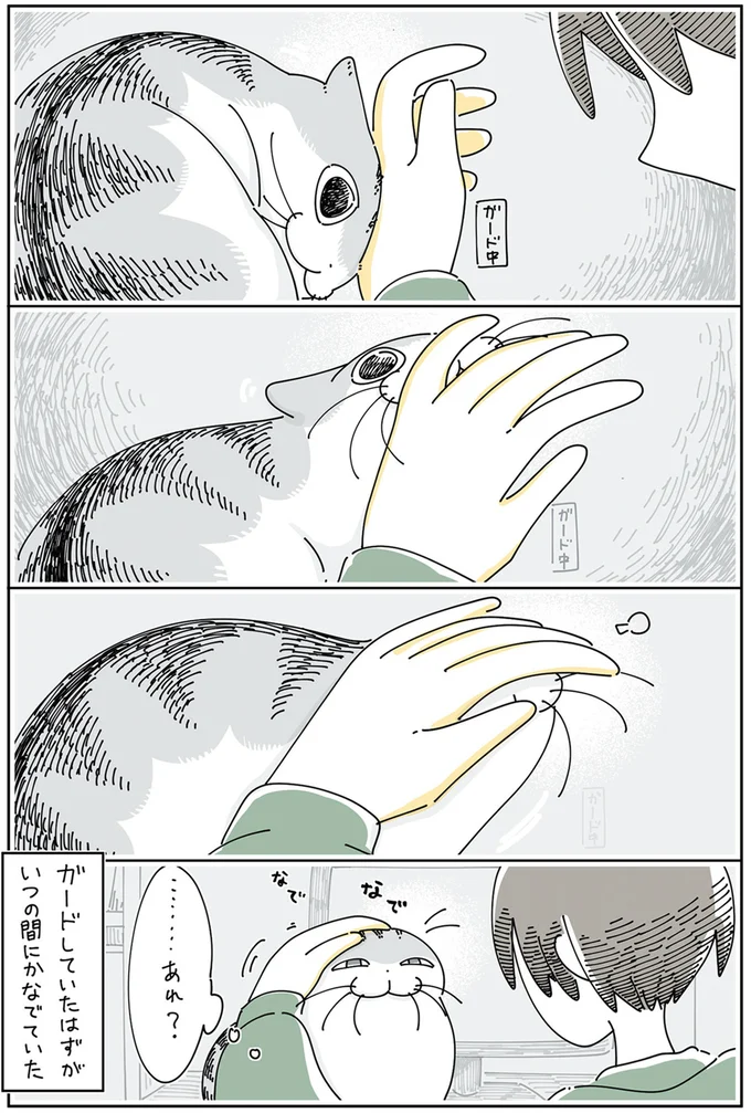 『夜は猫といっしょ6』 13997969.webp