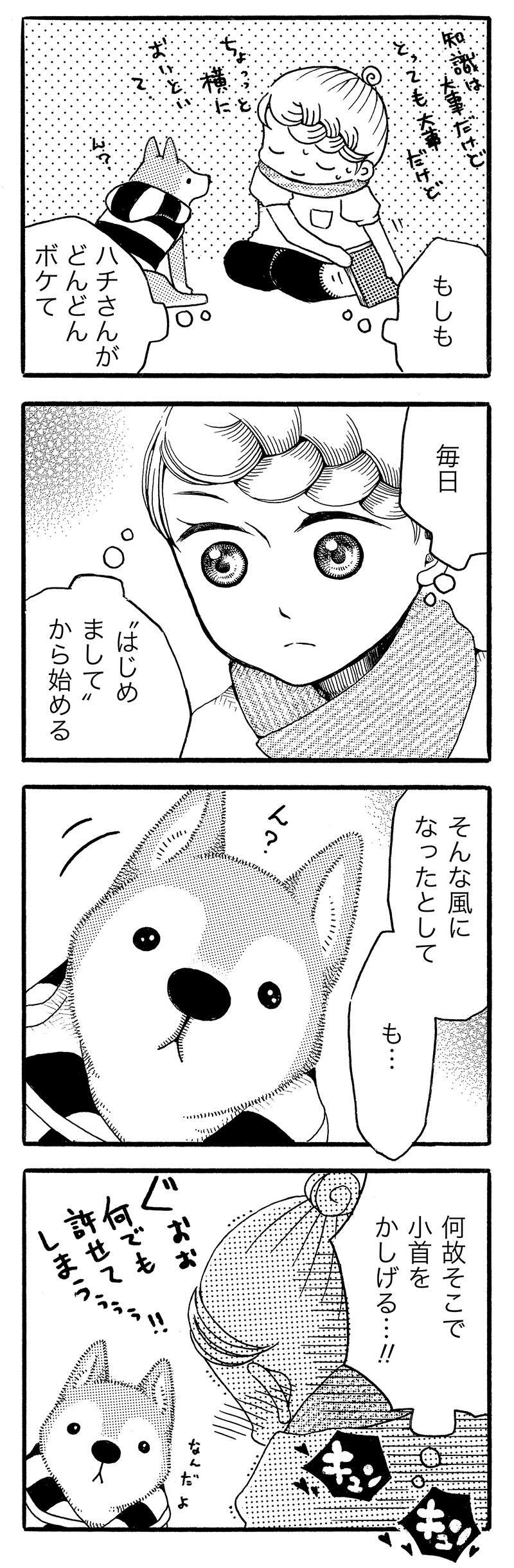 おじいちゃん柴犬との日々。帰った時の愛犬のリアクションが...かわいいけど変？／じじ柴ハチさん 12.jpg