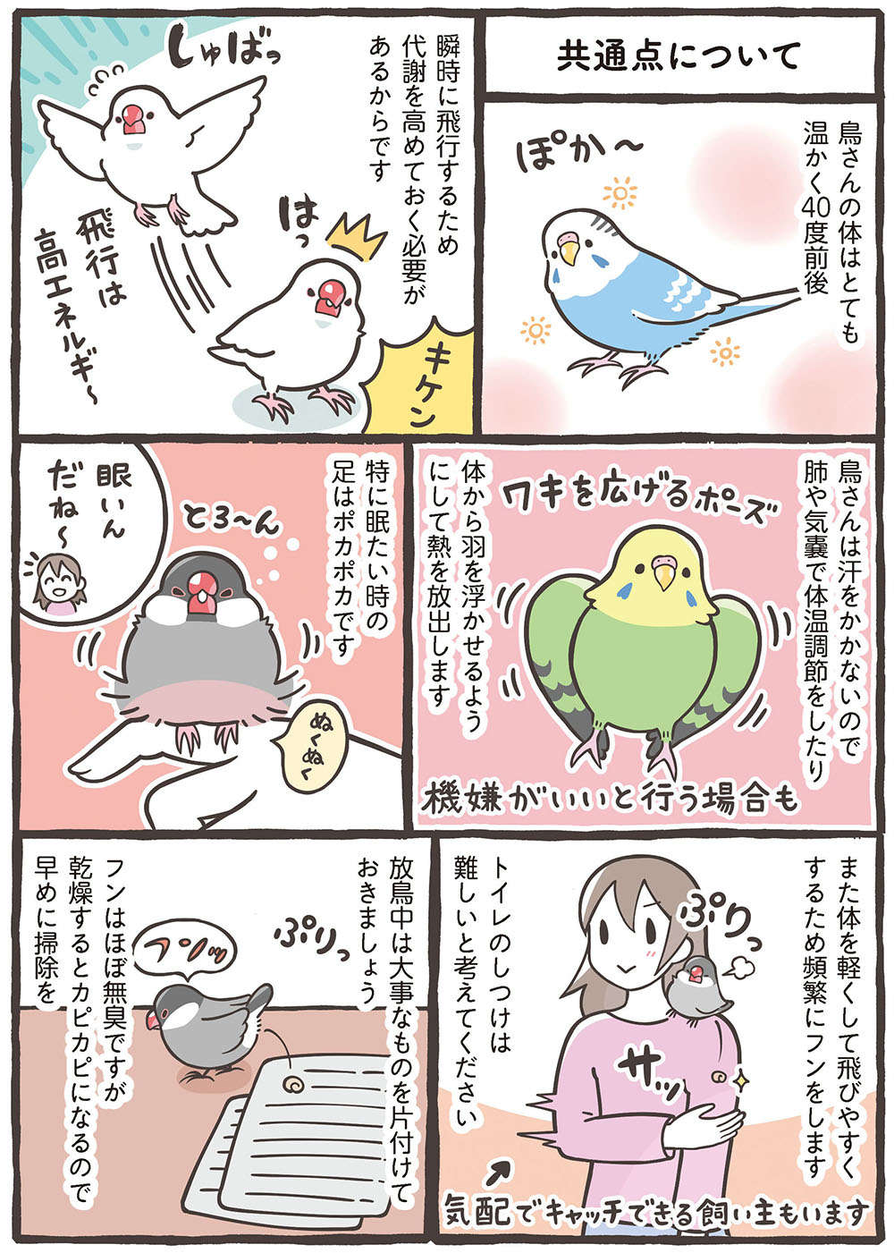 ブンチョウとセキセイインコの違い。歌を歌うのは？ 独特の香りを放つのはどっち？／トリ扱い説明書 繝医Μ謇ｱ縺・ｪｬ譏取嶌_繝槭Φ繧ｫ繧咏判蜒・繝医Μ謇ｱ縺・ｪｬ譏取嶌_066.jpg