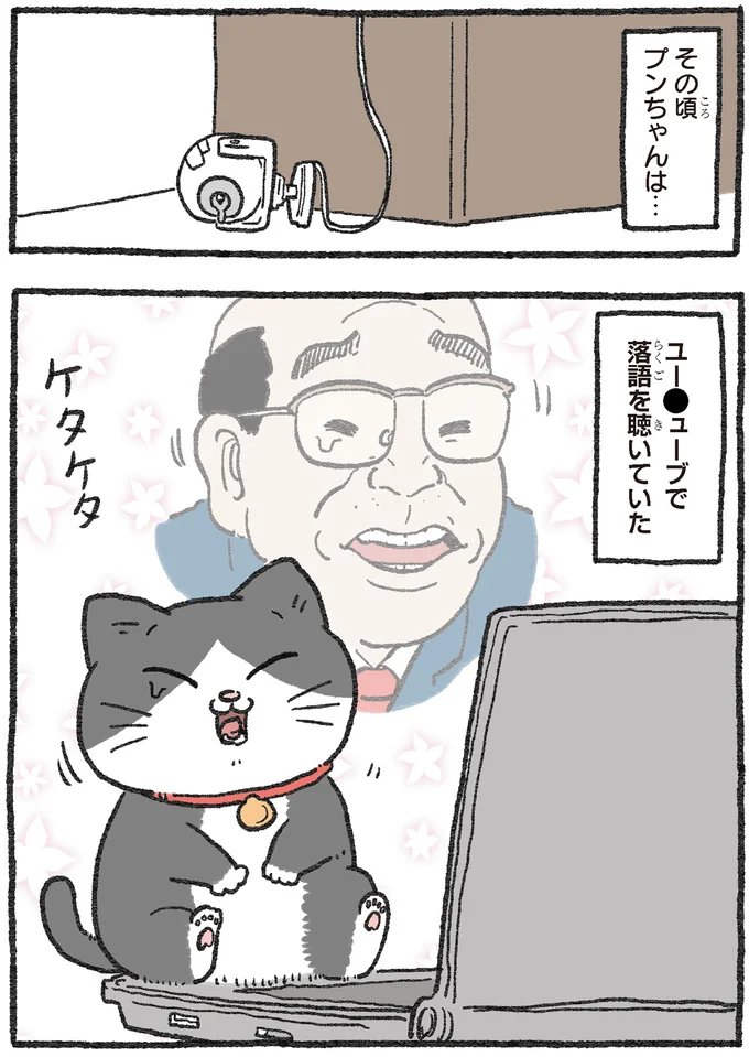 『ねこに転生したおじさん1〜3』 116.webp