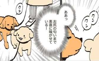 「人間の女性にしか興味ない」愛犬がメロメロに!?「魔性の女」登場／うちのトイプーがアイドルすぎる。