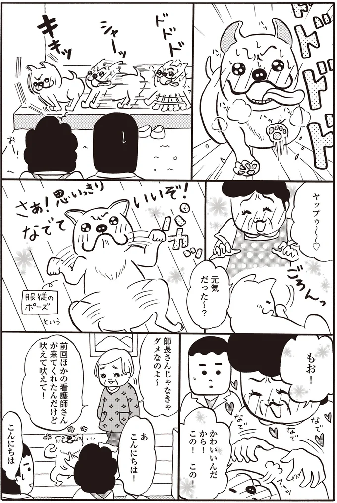 『離島で研修医やってきました。　お医者さん修行中コミックエッセイ』 14016205.webp