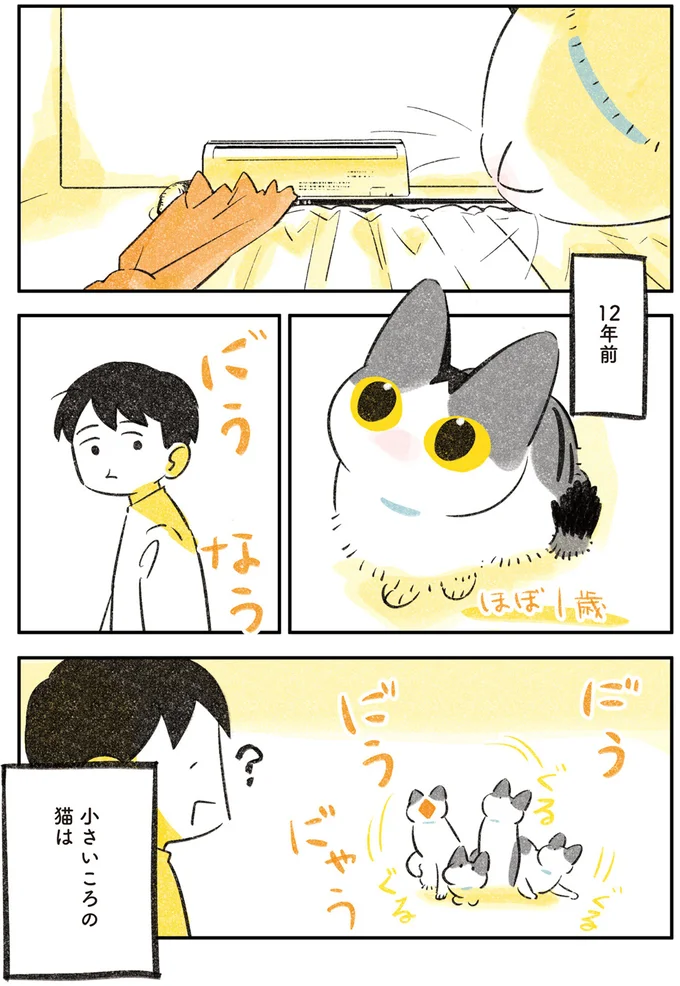 高いところに登りたい愛猫。危ないから肩にしておけと言うと.../じじ猫くらし 14021084.webp