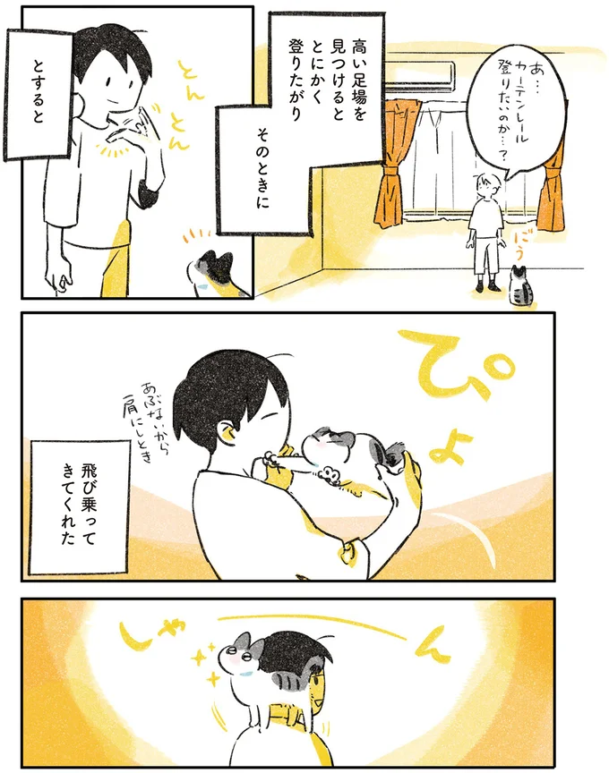高いところに登りたい愛猫。危ないから肩にしておけと言うと...／じじ猫くらし 14021085.webp