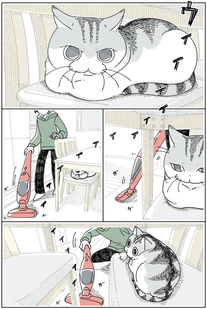 猫が「常に絶妙な距離」にいる。掃除機を怖がっているようだけど...／夜は猫といっしょ6 14025397.webp