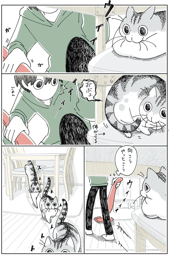 『夜は猫といっしょ6』 14025398.webp